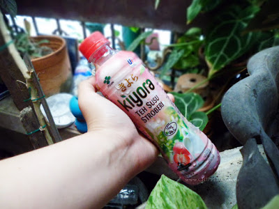 kiyora,paket yang mendebarkan,dag dig dug,endorsement,kiyora endorsement,kiyora matcha latte,kiyora teh susu, kiyora hazelnut milk tea, kiyora strawberry milk tea,blogger,review kiyora